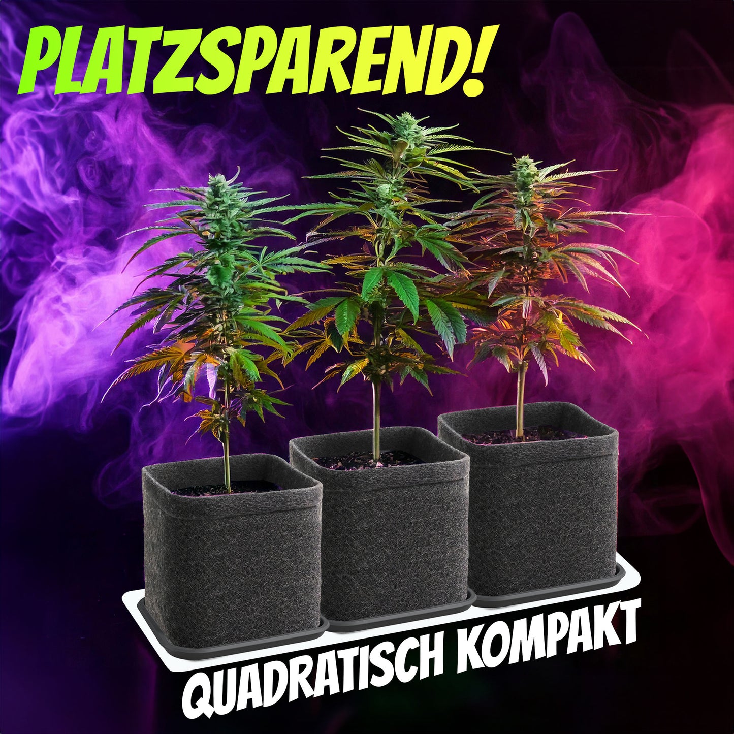 Filz-Pflanztöpfe mit Untersetzern im 3er Set (viereckig, je 11 L)